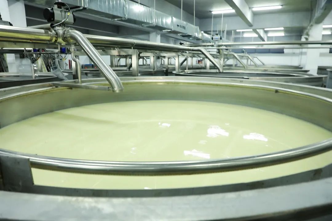 1752657442726148.jpg 2.jpg